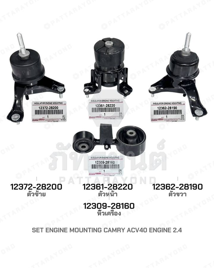 ยางแท่นเครื่อง ขวา TOYOTA CAMRY ACV40 2.4
